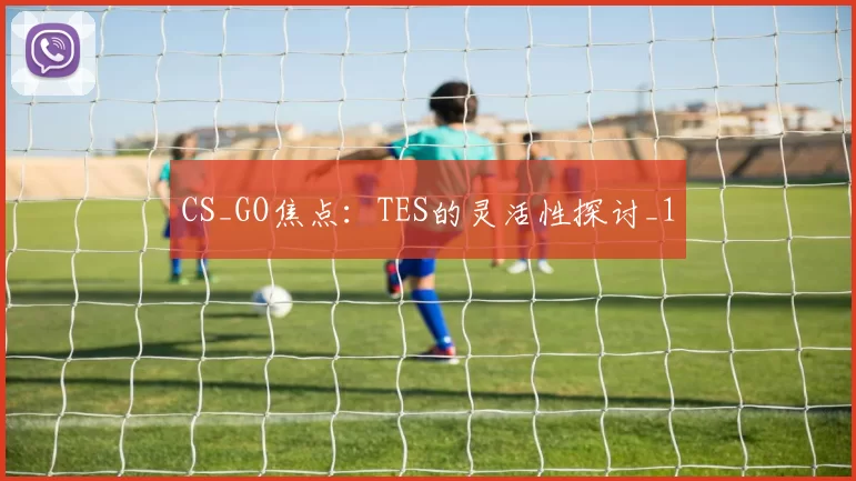 CS_GO焦点：TES的灵活性探讨_1
