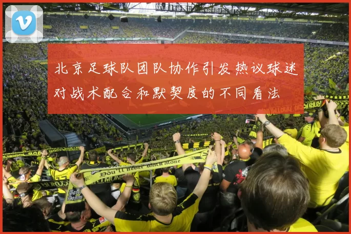 北京足球队团队协作引发热议球迷对战术配合和默契度的不同看法