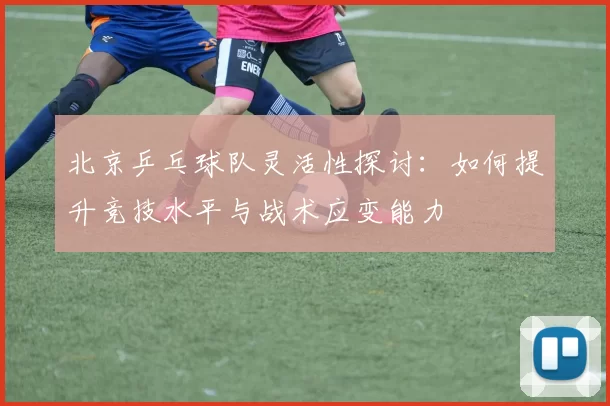 北京乒乓球队灵活性探讨：如何提升竞技水平与战术应变能力